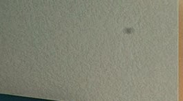 Rolling Oaks Apartment Homes | Apartments for Rent in Fairfield, CA